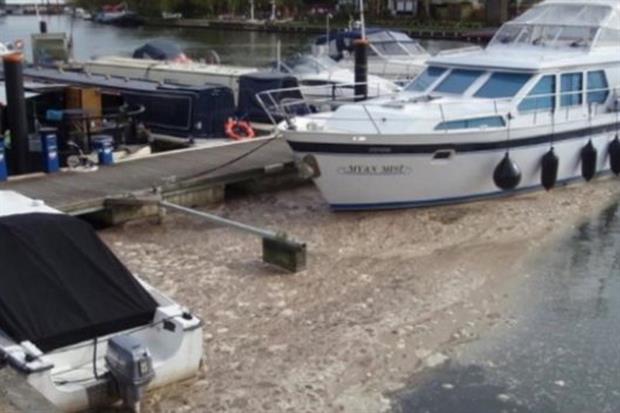 Sewage collecting in a marina, one of the offences that led to Thames Water being fined £20m. Photograph: Environment Agency