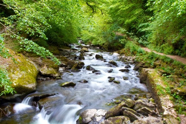 The River Lyn in Devon