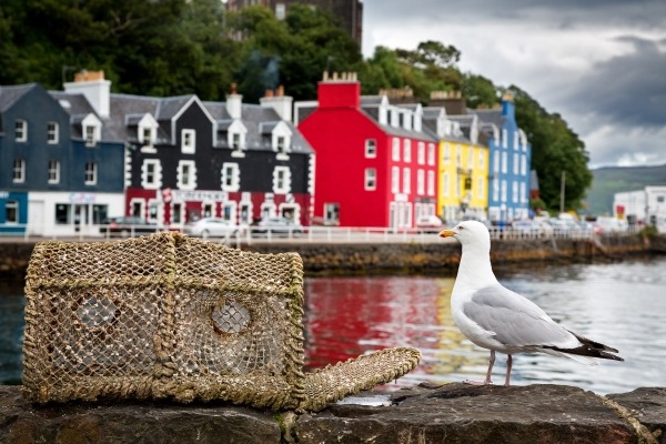 Tobermory port