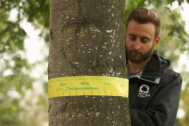 The Greater Manchester Combined Authority carried out one of the largest tree surveys outside the US in 2018. Photograph: City of Trees