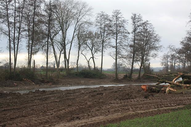 The destruction will have devastated wildlife. Photograph: Herefordshire Wildlife Trust