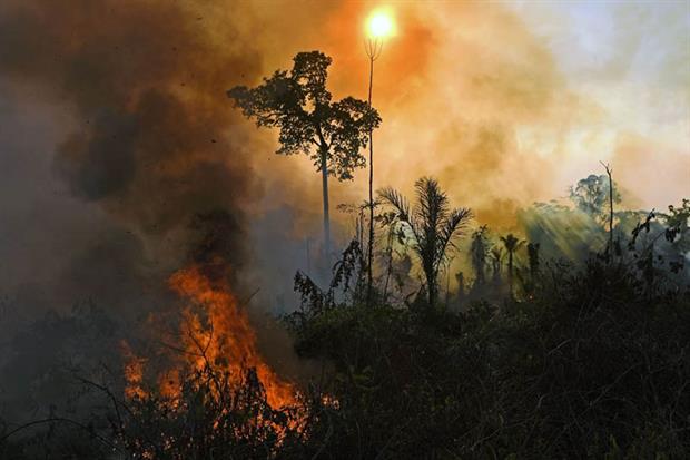Amazon: the rate of deforestation over the 2019/20 period has increased by 28% compared to the previous 12 months (Photo by CARL DE SOUZA/AFP via Getty Images)