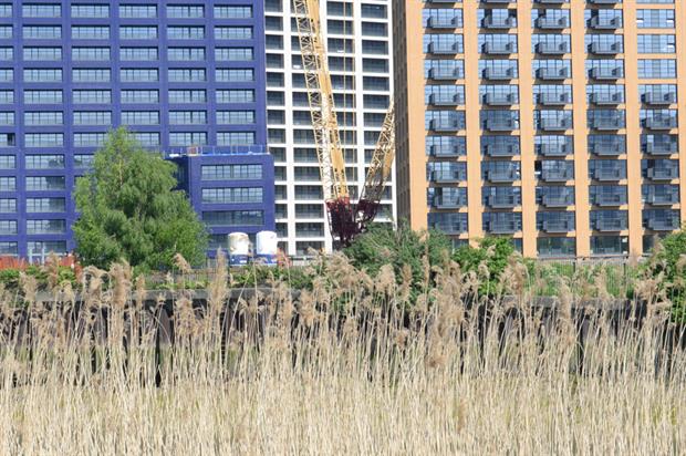 Construction: Developers will soon have to deliver 10% net biodiversity gain