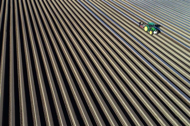 Land use change is a major driver of ecological decline, according to the report. Photograph: PATRICK PLEUL/AFP/Getty Images