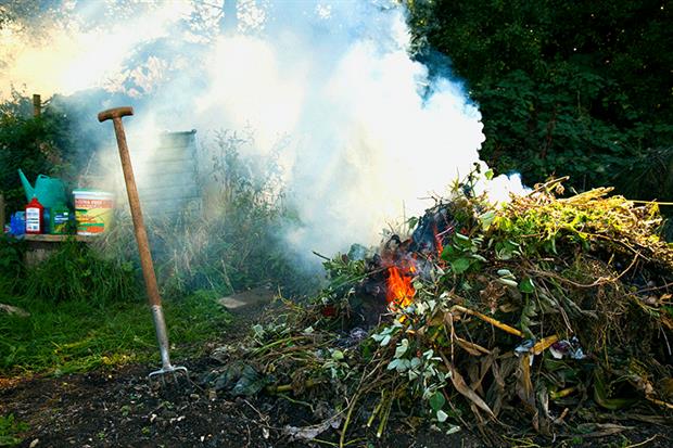 D7 exemptions for burning plant tissue and untreated waste board in the open are the most common. Photograph: Ken Leslie/Getty Images