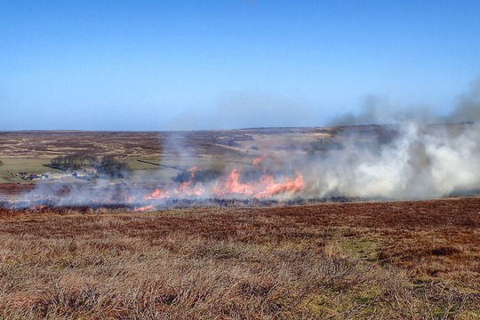 Heather burning