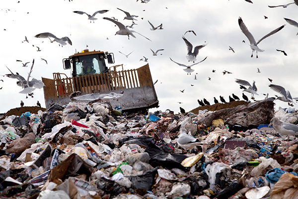 Scoop in landfill