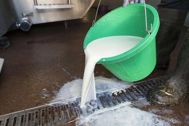 Milk is 350 times more damaging to watercourses than raw human sewage (Photo by: Farm Images/Universal Images Group via Getty Images)