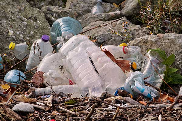 Plastic litter on ground