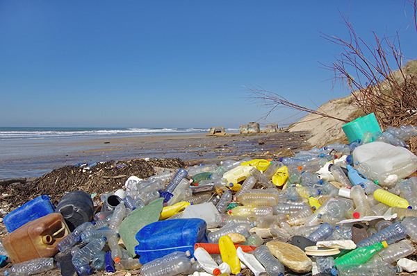 Plastic waste washed up on a beach