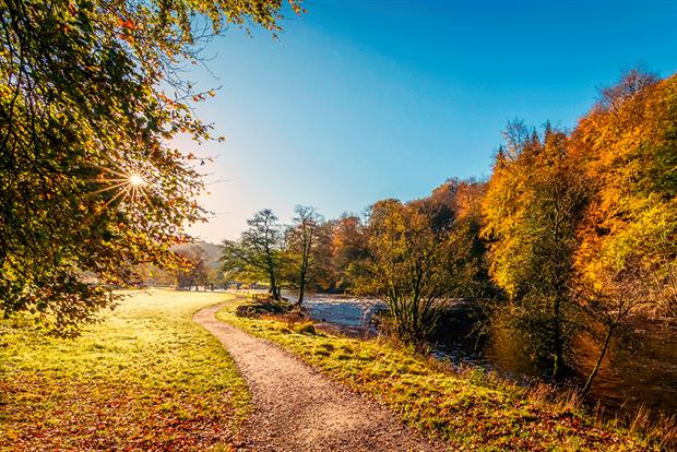 The green watchdog will scrutinise environmental policy.