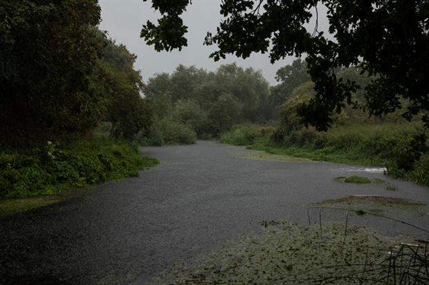 Rivers: bill will introduce new measures aimed at reducing the impact of storm overflow discharges (Photo by Dan Kitwood/Getty Images)