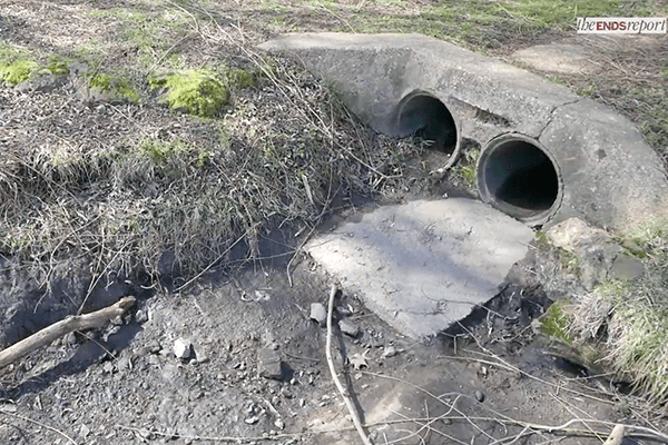 Chalk stream with no water