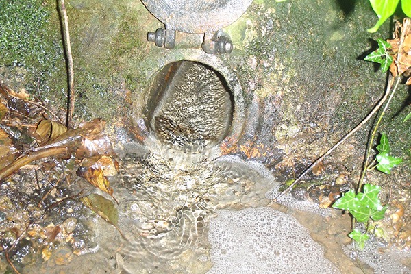 Severn Trent pollution incident