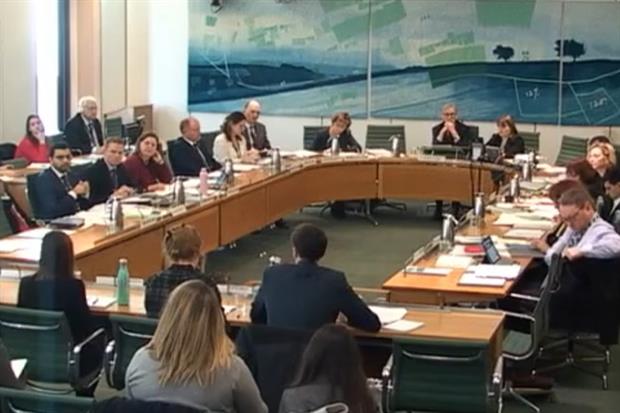 Experts address MPs and DEFRA minister Rebecca Pow during the committee's scrutiny of the Environment Bill (Image: Parliament TV)