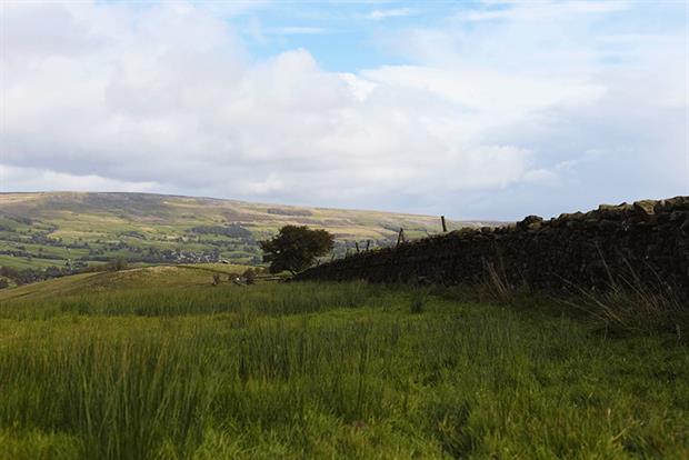 David Metcalfe's farm in Wensleydale, North Yorkshire, is one of 19 farms in the area taking part in a payment by results trial. Photograph: James Agyepong-Parsons