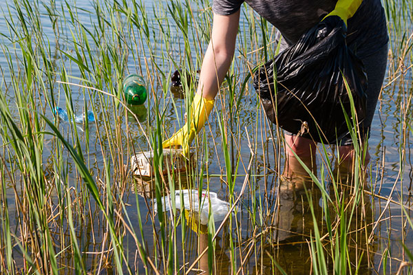 Person collecting litter in water