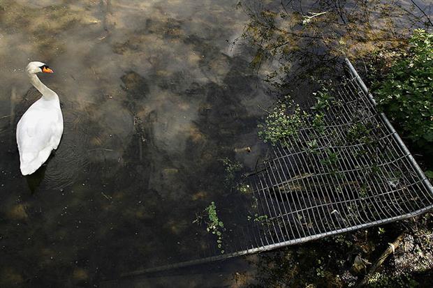 Water quality: only 14% of England's waterways are judged to be in good health under the directive (Photo by Warren Little/Getty Images)