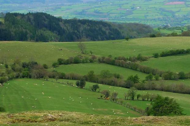 The Welsh countryside (pic: Henry Burrows, Flickr, CC BY-SA 2.0)