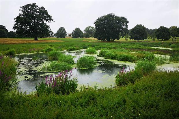 The new wetland in Broomfield Park, Enfield, is helping to stop pollution entering water courses