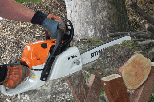  STIHL MS 241 C  M Horticulture Week