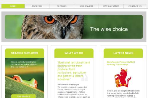 A screenshot of MorePeople's new website - image: MorePeople