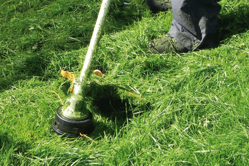 STIHL FS240C-E brushcutter - image: HW