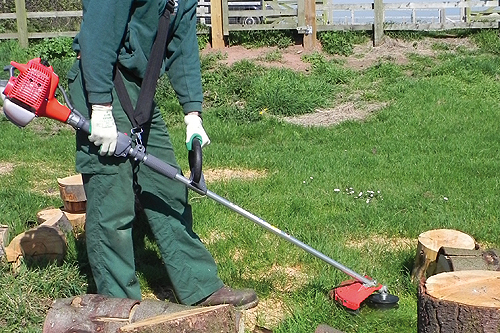 Efco DS2800S brushcutter - image: HW