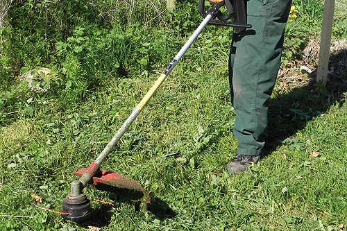 Sanli GTS26 brushcutter - image: HW