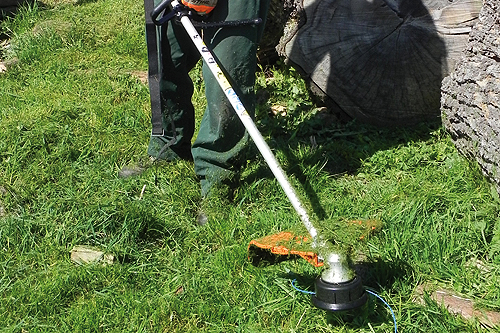 Echo SRM-265TESL brushcutter - image: HW