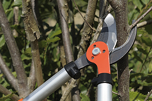 Emak UK has expanded its distribution agreement for supplying Bahco professional forestry and leisure gardening tools - image: Emak
