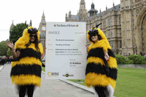 Friends of the Earth estimates bees contribute £1.8bn a year to the British economy - image: Morguefile