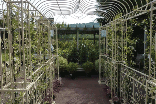 Best Retail Outlet of the Year under 3m Turnover - Sidmouth Garden Centre - image: Sidmouth Garden Centre