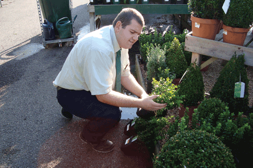 Westland Garden Centre Trainee of the Year - Will Foulkes, Weybridge Garden Centre, Garden Centre Group - image: GCG