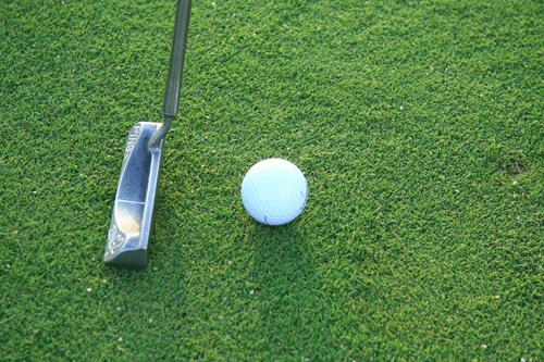 £500,000 on golf facilities built at Ashton Court Heritage Estate - image: Morguefile