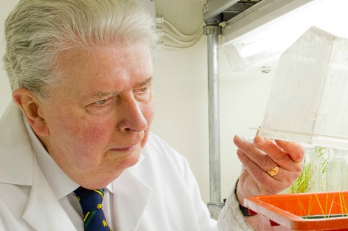 Professor Cocking - image:University of Nottingham