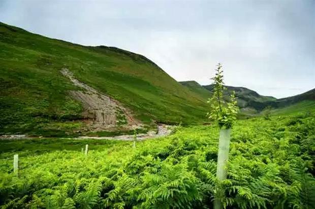 Image: John Malley / National Trust