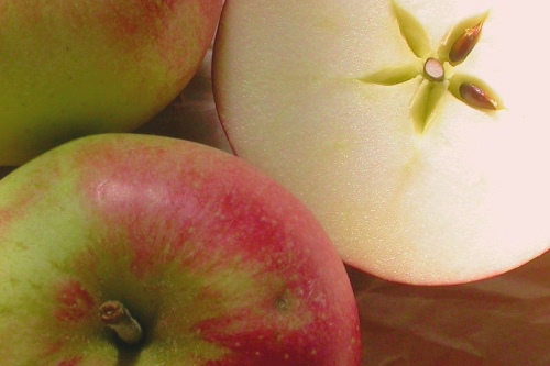 Discovery apples - image:Nick Saltmarsh