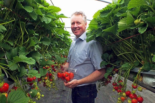 Peter Donnelly - image: NISFGA