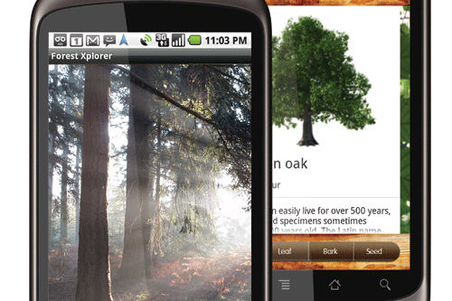 Forest Xplorer in Android format - image: Forestry Commission