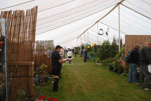 The Woking Show bows out after 33 years - image: HW