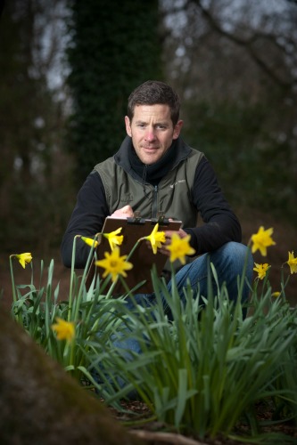 Trelissick head gardener TomClarke counts daffodils. Picture: Steven Haywood