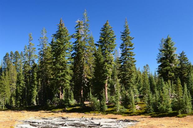Image: Lassen Volcanic National Park
