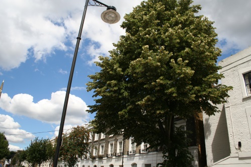 Image: HW