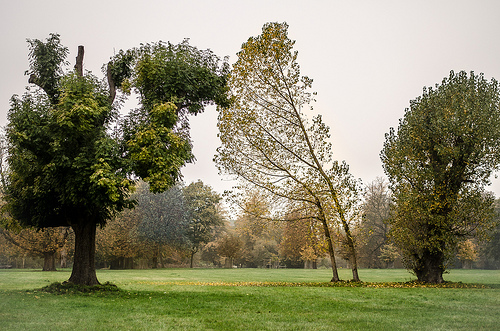 Morden Hall Park - image:Garry Knight