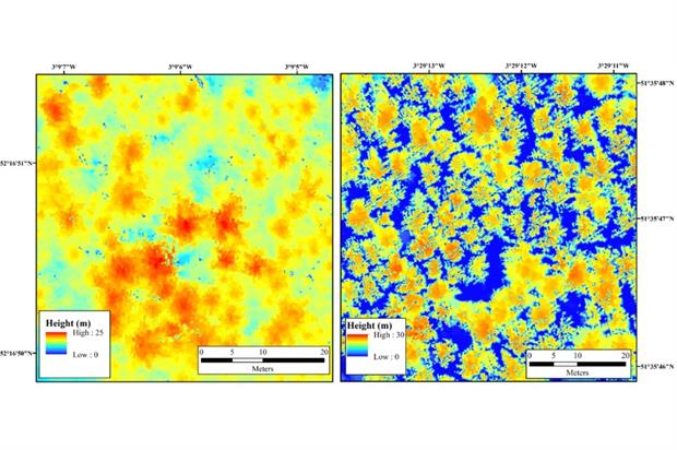 Uninfected (left) vs. infected plots - image: University of Leicester
