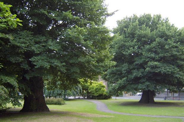 Image: Ulmus man (CC BY-SA 3.0)