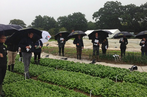 The former SPGA at Tozer's leaf trials - image:BLGA