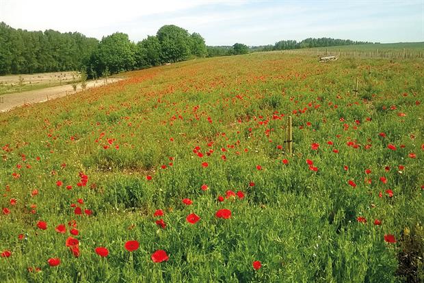 Top 50 Uk Landscape And Maintenance Contractors 1 10 Top 50 Uk Landscape And Maintenance Contractors 1 10 Horticulture Week