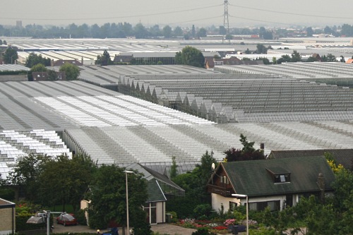 Glasshouses of the Westland region - image:HW
